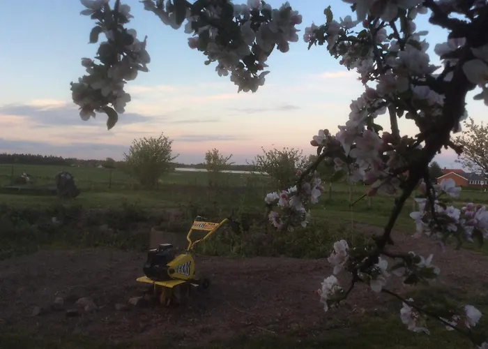 Plantagen * Guldborg